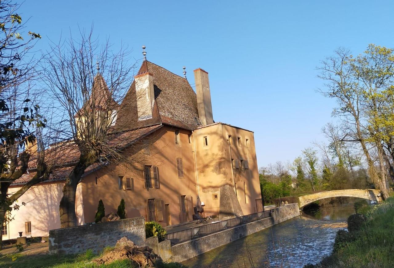 Chateau De La Venerie Denicé 외부 사진