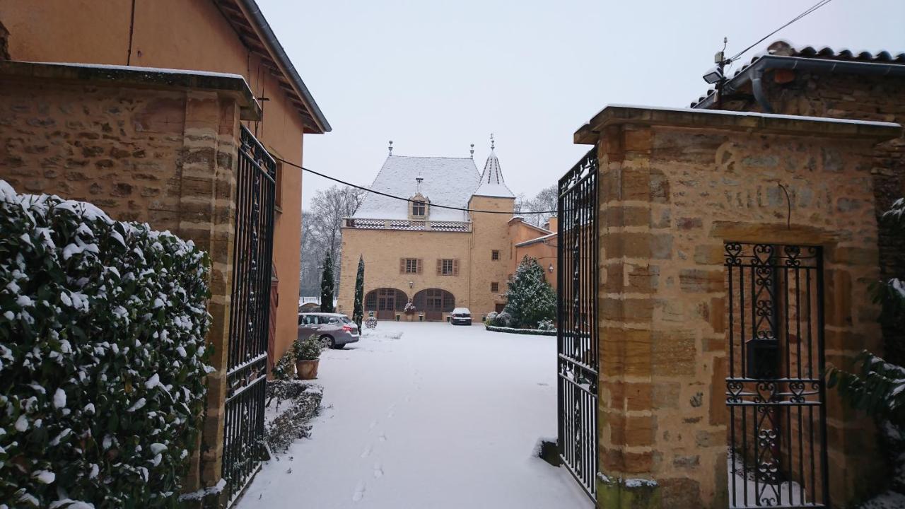 Chateau De La Venerie Denicé 외부 사진